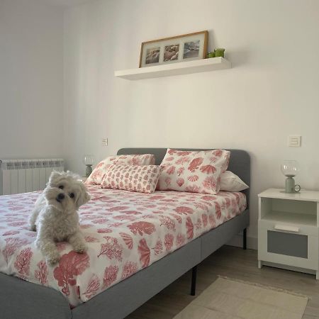 Appartement Plata 2 à Zamora Extérieur photo
