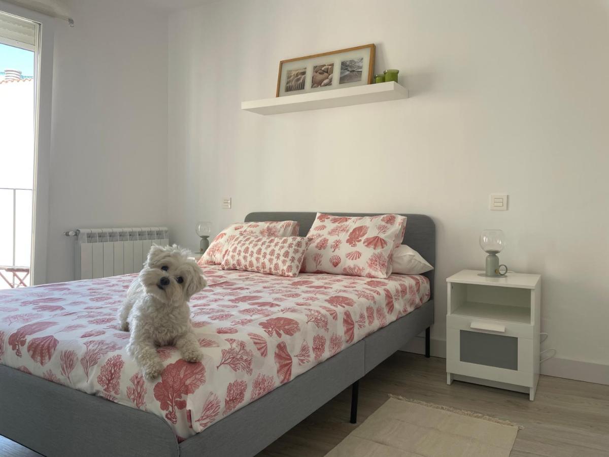 Appartement Plata 2 à Zamora Extérieur photo